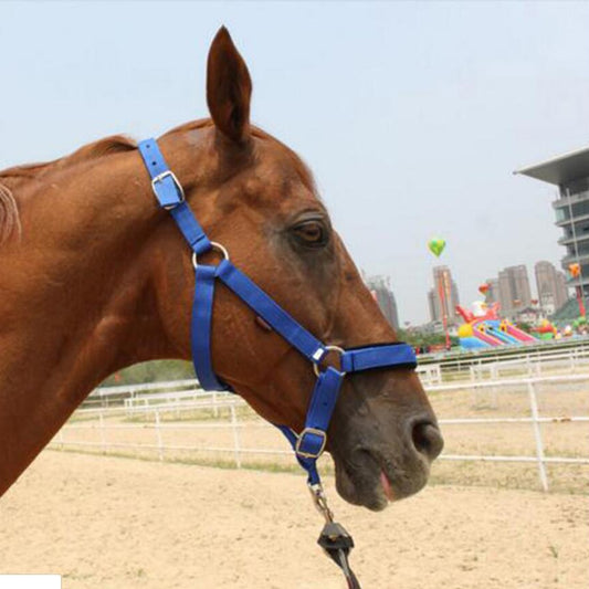 Adjustable Nylon Webbing Equestrian Western Horse Halter Headstall 6mm