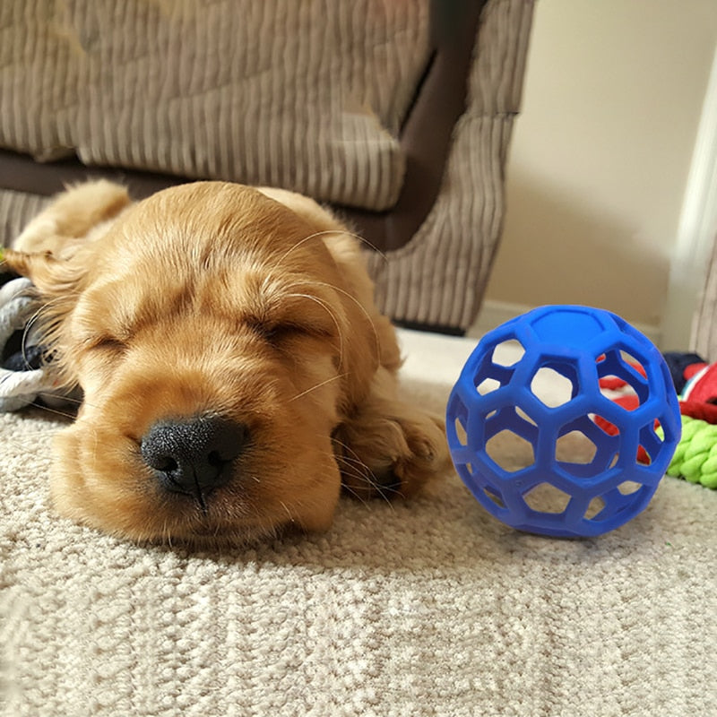 Pet Dog Toy Rubber Interactive Dog Toys Ball for Dogs Chew Toy Hollow Ball Bell Puppy Outdoor Training Game Playing Supplies