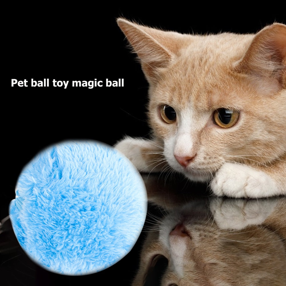 5-15pcs Battery Powered Pet Electric Magic Roller Toy Ball Automatic Dog Cat Interactive Funny Floor Clean Products Fun toys