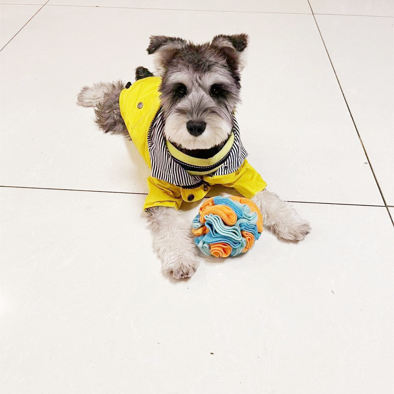 Snuffle ball Dog Puzzle Toys Increase IQ Slow Dispensing Feeder Pet Cat Training Games Feeding Feeding Food Intelligence Toy