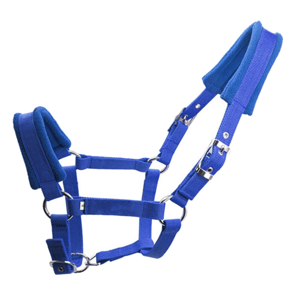 Soft Padded Pony Horse Halter Bridle Headstall Head Collar Horse Riding Stable