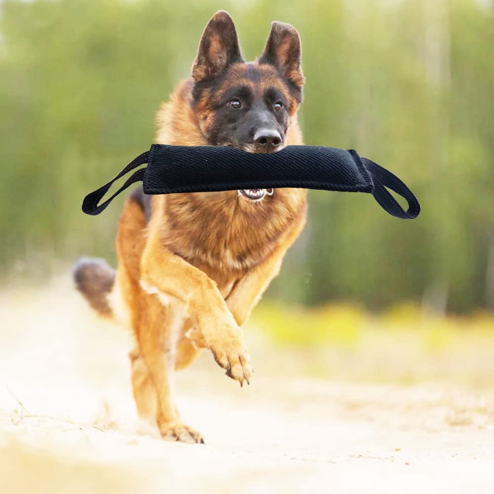 Dog Tug Toy Dog Tough Jute Bite Pillow Durable, Training Equipment From Puppy to Large Dogs Interactive Toy