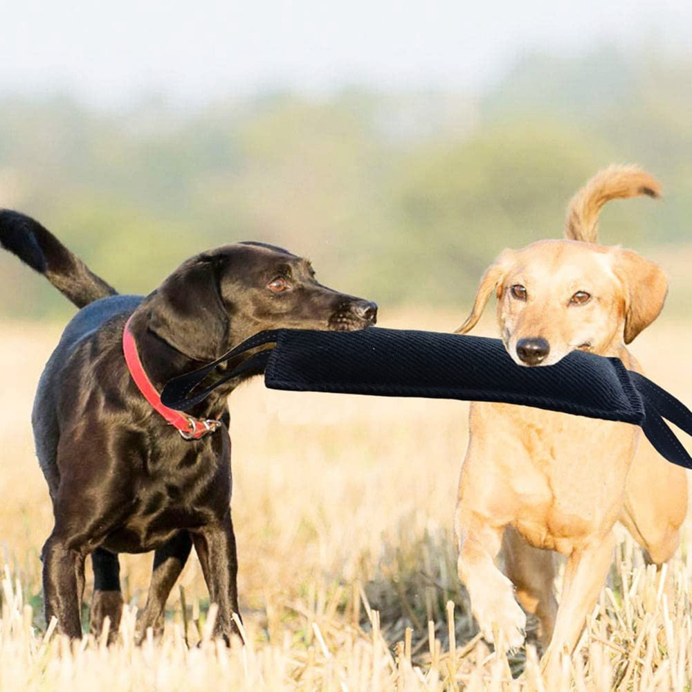 Dog Tug Toy Dog Tough Jute Bite Pillow Durable, Training Equipment From Puppy to Large Dogs Interactive Toy