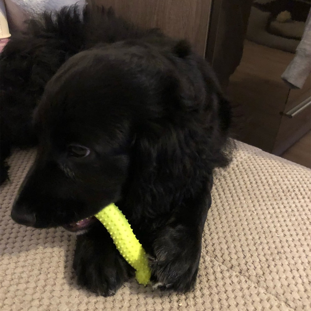 1PC Pet Toys for Small Dogs Rubber Resistance To Bite Dog Toy Teeth Cleaning Chew Training Toys Pet Supplies Random Color