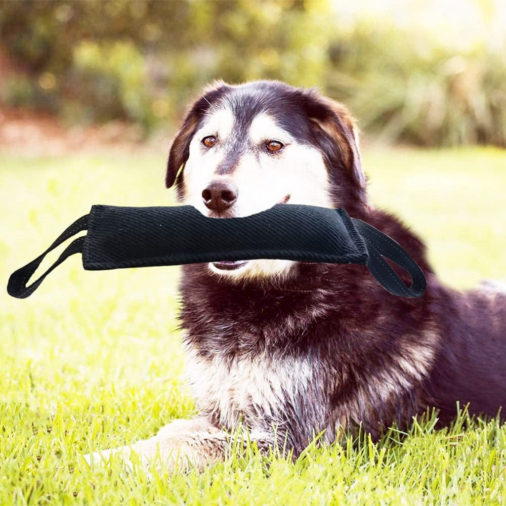 Dog Tug Toy Dog Tough Jute Bite Pillow Durable, Training Equipment From Puppy to Large Dogs Interactive Toy