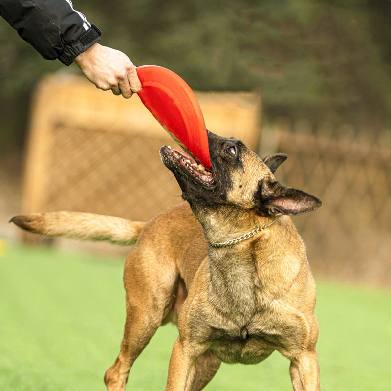 1pcs Soft Non-Slip Dog Flying Disc Silicone Game Frisbeed Anti-Chew Dog Toy Pet Puppy Training Interactive Funny Dog Supplies