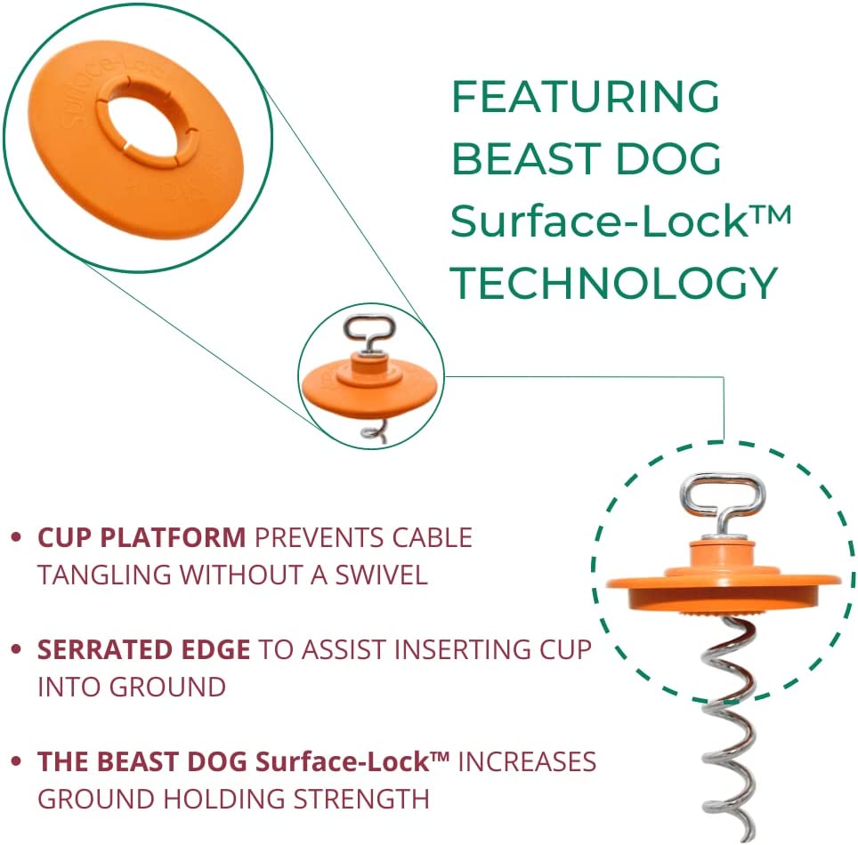 Products Intelli-Stayk™ with Beast Dog Surface-Lock™