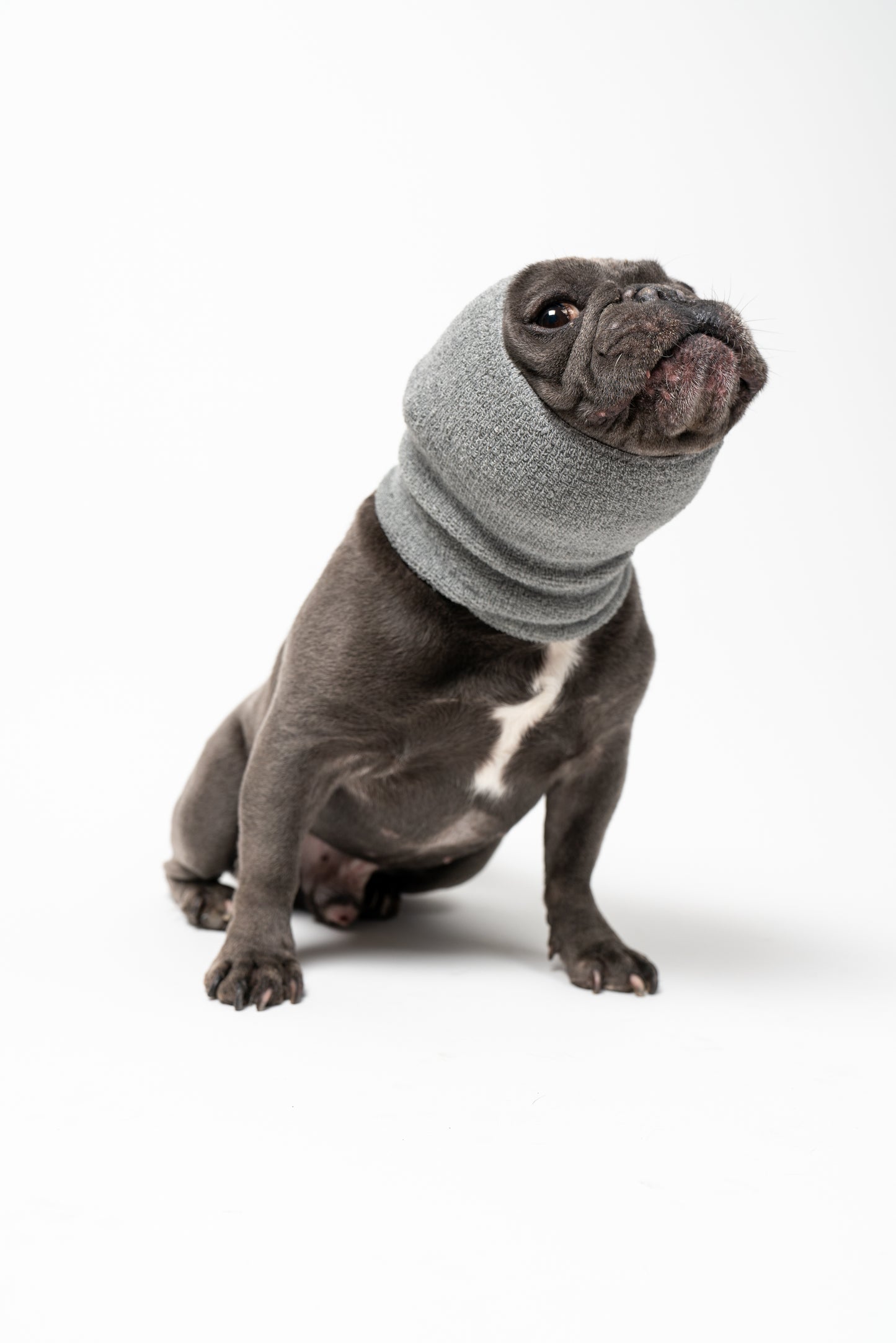 fabric dog calming hoodies