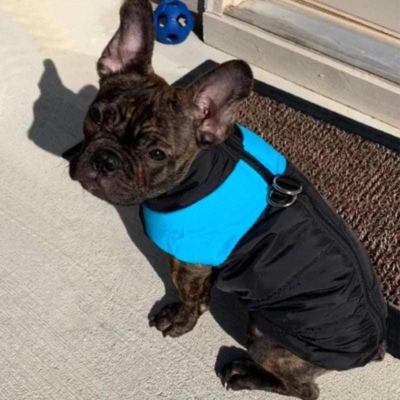 Winter Dog Clothes Pet Coat Puppy Jacket French Bulldog Vest Waterproof Warm Clothes For Small Big Dogs Free Shipping Items