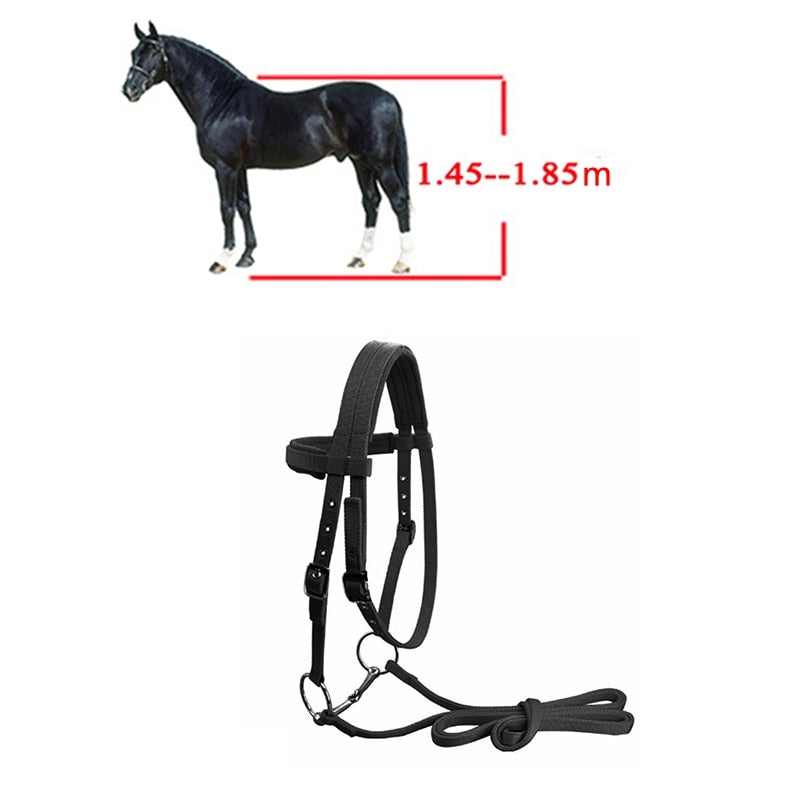 Adjustable Horse Riding Equipment Halter Horse Bridle with Bit and Rein Belt for Horse Equestrian Accessories Soft Thicken Large