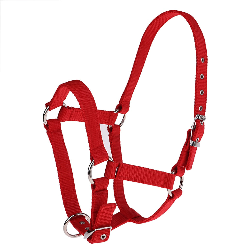 Adjustable Nylon Webbing Equestrian Western Horse Halter Headstall 6mm