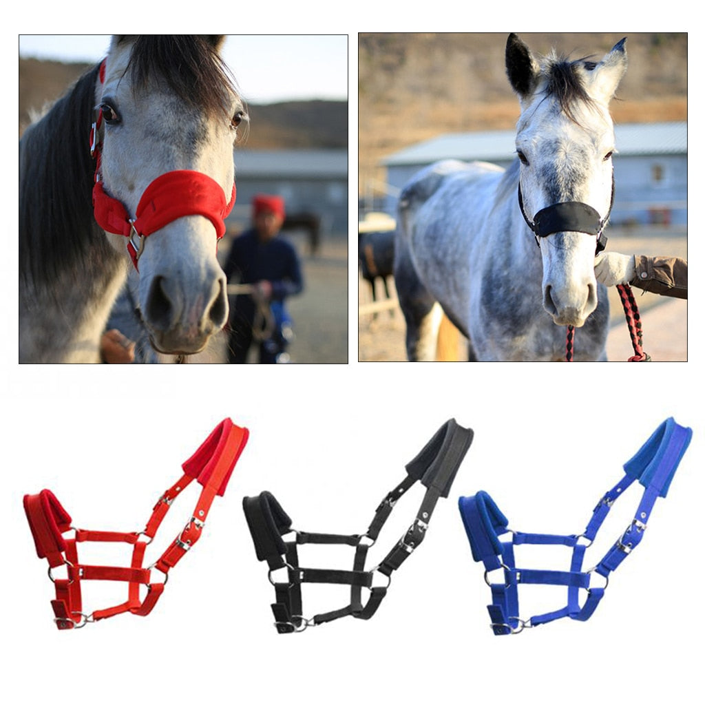 Soft Padded Pony Horse Halter Bridle Headstall Head Collar Horse Riding Stable