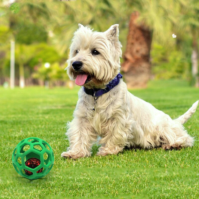 Pet Dog Toy Rubber Interactive Dog Toys Ball for Dogs Chew Toy Hollow Ball Bell Puppy Outdoor Training Game Playing Supplies