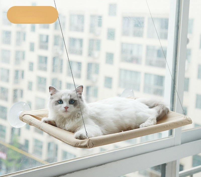 Cute Pet Hanging Beds Bearing 20kg Cat Sunny Window Seat Mount Pet Cat Hammock Comfortable Cat Pet Bed Shelf Seat Beds